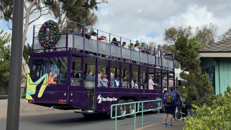 Guided bus tour in San Diego Zoo